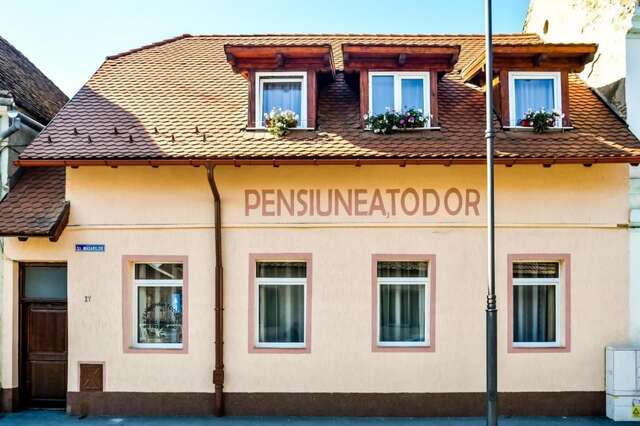 Гостевой дом Pensiunea Todor Сибиу-3